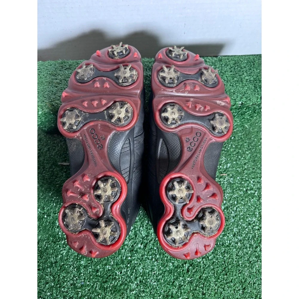 Ecco these could